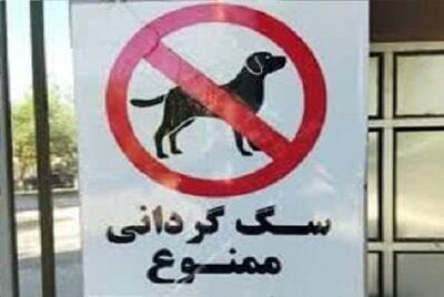 سگ‌گردانی در یک شهرستان دیگر ممنوع شد