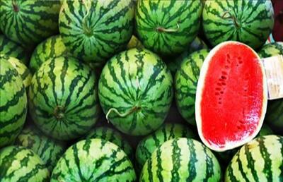 روایت رئیس سازمان غذا و دارو از برگشت خوردن محصولات کشاورزی صادراتی+ فیلم