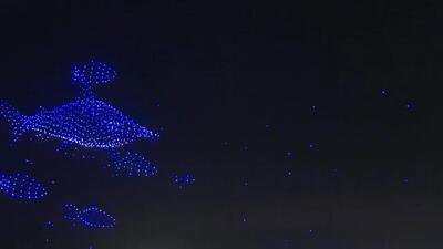 ببینید؛ رقص نور پهپادها با الهام از موجودات دریایی