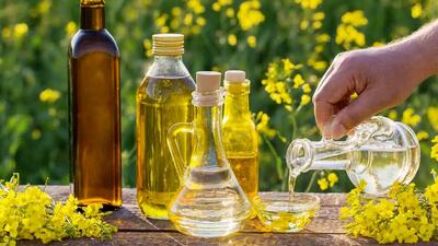 روغن کانولا؛ علم درباره این روغن نفرت انگیز چه می گوید؟!