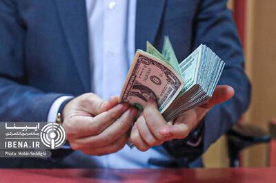 تامین ۹.۶ میلیارد دلار ارز مورد نیاز واردات و نیاز‌های خدماتی