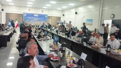 مشکلات پتروشیمی دهلران با حضور وزیر نفت بررسی می شود