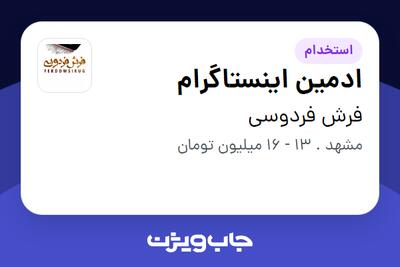 استخدام ادمین اینستاگرام - آقا در فرش فردوسی