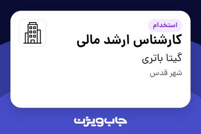 استخدام کارشناس ارشد مالی در گیتا باتری