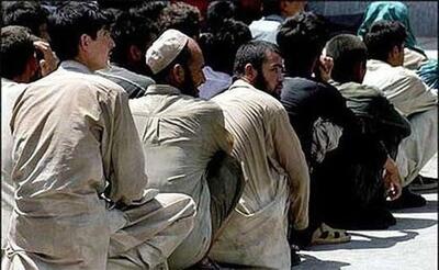 مهاجرانی: دولت اتباع غیرمجاز را به کشورشان بر می گرداند