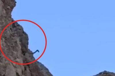 زندگی پلنگ‌ها در زیستگاه‌های طبیعی دماوند ادامه دارد/ حضور پلنگ در فاصله چند متری محیط‌بان