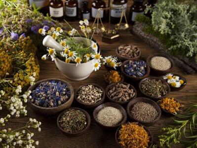 این گیاه تلخ برای روده ها خواص شیرین دارد