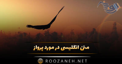 متن انگلیسی در مورد پرواز؛ جملات با معنی و ترجمه شده درباره پرواز