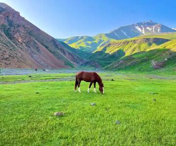 زیبایی خیره کننده بهشتی به نام  دشت دریوک + فیلم - سبک ایده آل