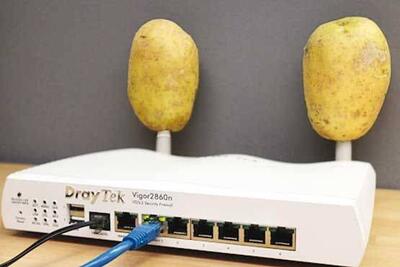 چرا سیب‌زمینی در کنار مودم Wi-Fi قرار می‌گیرد؟ - سبک ایده آل