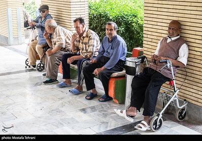 گلستان در مسیر ایجاد   شهرهای دوستدار سالمند   - تسنیم