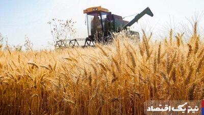 خرید تضمینی گندم به ۲ میلیون و ۹۵۰ هزارتن رسید