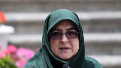 مهاجرانی: دولت مصمم به بازگشت اتباع غیرمجاز است