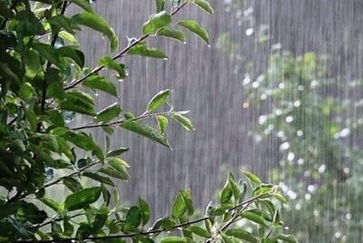 بارش پراکنده باران در همدان