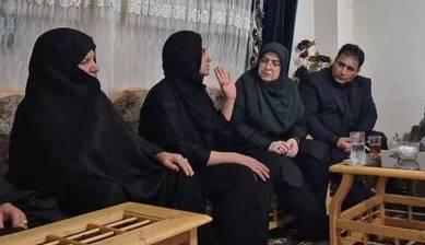روایت سخنگوی دولت از دیدار با خانواده الهه حسین‌نژاد