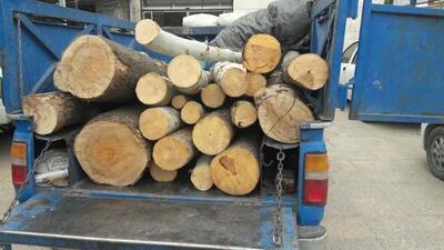 رئیس کل دادگستری: برخورد با تخلفات زیست محیطی در اردبیل بازدارنده است