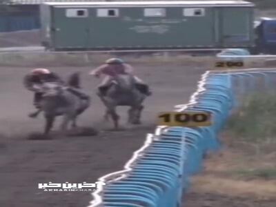 هشدار؛ جان باختن چابکسوار گلستانی در کورس تابستانه بندرترکمن 