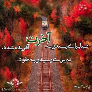 حکمت/ خلقت دنیا برای آخرت