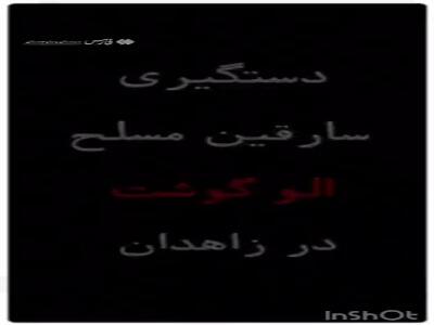 دستگیری اعضای باند سارقین مسلح «الو گوشت»