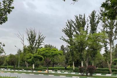 بارش باران تا چهارشنبه در خراسان رضوی