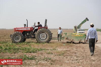 تفاهم‌نامه تات و نظام مهندسی برای تسریع انتقال دانش به کشاورزان