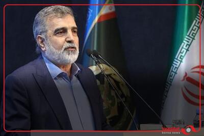 سخنگوی سازمان انرژی اتمی: چالش ما، چالش اقتدار است