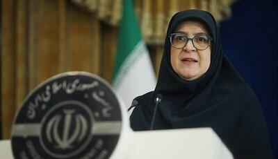 سخنگوی دولت: دولت خود را موظف به حمایت از جریان‌های فکری آزاد می‌داند