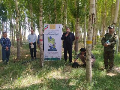 کشت ۱۷ نوع گندم به کشاورزان استان مرکزی معرفی شد