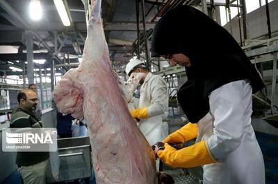 بازرسی بهداشتی ۸۳۳ رأس دام قربانی در ایلام