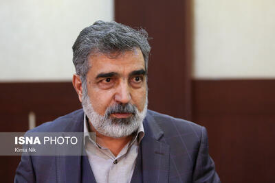 کمالوندی: واحد سوم نیروگاه بوشهر به مرحله نصب تجهیزات رسیده است