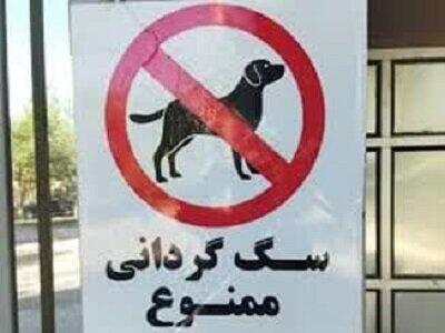 سگ‌گردانی در مازندران ممنوع است