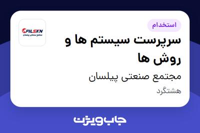 استخدام سرپرست سیستم ها و روش ها در مجتمع صنعتی پیلسان