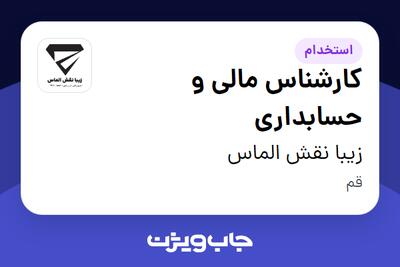 استخدام کارشناس مالی و حسابداری در زیبا نقش الماس