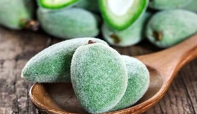 خواص شگفت انگیز چاقاله بادام و طرز تهیه چغاله بادام شور