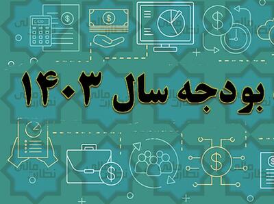 پایش دیوان محاسبات کشور از عملکرد منابع و مصارف عمومی سال ۱۴۰۳
