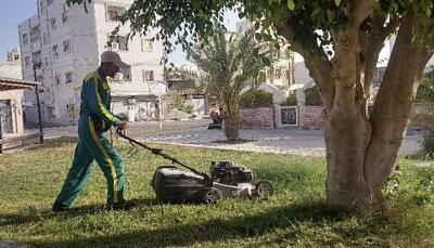 اجرای عملیات هرس و بازپیرایی فضای سبز شهری در خارگ