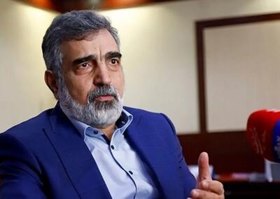 کمالوندی: برخورد مدیر کل آژانس، سیاسی است