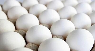 قیمت تخم مرغ دوباره اوج گرفت