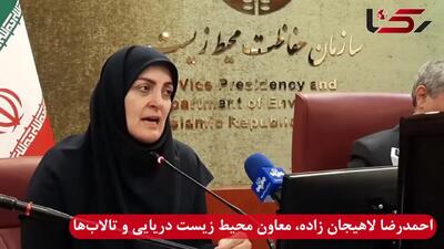 150 گونه غیربومی در آب های ایران شناسایی شده است / با سازمان شیلات برای کنترل این گونه ماهی ها رایزنی کرده ایم /حذف کامل ماهی های مهاجم غیرممکن است + فیلم