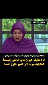 فیلم کنایه المیرا شریفی مقدم درباره قانون ممنوعیت سگ گردانی /  حالا تکلیف حیوان‌های خانگی چیست؟