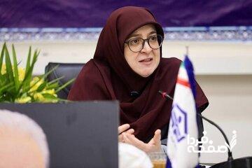 سخنگوی دولت در واکنش به اظهارات همتی: نباید اظهارات فردی را به دولت نسبت داد