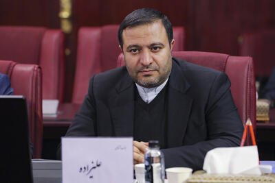 برنامه مدنی‌زاده برای اصلاحات تدریجی، مبتنی بر واقع‌گرایی اقتصادی است