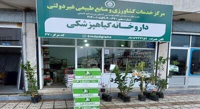 آفت‌کش‌های تقلبی کشاورزی جمع آوری می شوند