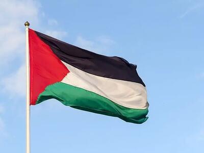 لحظات نفس‌گیر مادلین در نزدیکی غزه