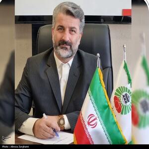 تقویت انضباط شهری قزوین با همکاری دستگاه قضایی - تسنیم