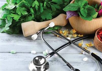 ضرورت استانداردسازی خدمات طب سنتی در کشور - تسنیم