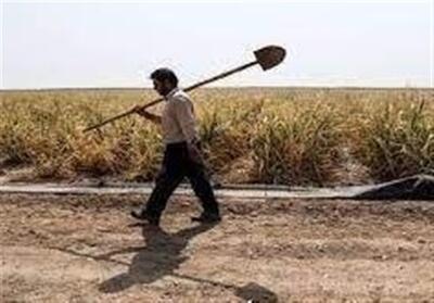 چرام تشنه تدبیر؛ کشاورزان از بی‌آبی گلایه دارند+فیلم - تسنیم