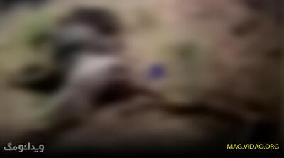 جزئیات اعترافات قاتل الهه حسین نژاد : چند روز از ترس فراری بودم + عکس - ویدائو مگ