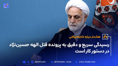 رسیدگی سریع و دقیق به پرونده قتل الهه حسین‌نژاد در دستور کار است