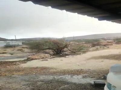 گنو جان گرفت